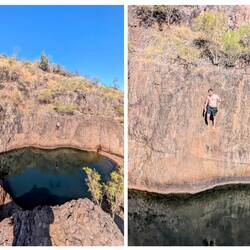 Jamie the mountain goat