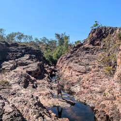 Kiwis on rocks again