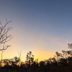 Enjoying the shadows of the trees against the sunset sky