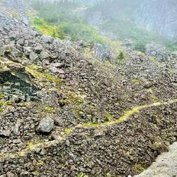 Trampelpfad der Stampeder