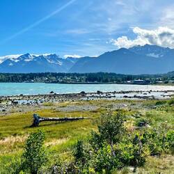 Erster Blick auf Haines