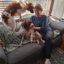 Claude & Remi - they are characters