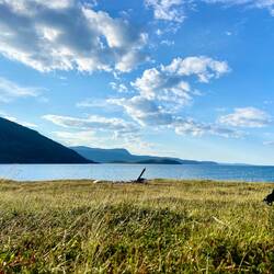 meine Aussicht aus dem Zelt