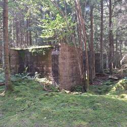 Ruinen, die im Moor zu versinken scheinen