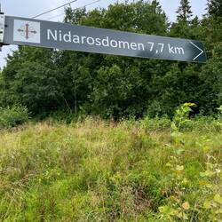 um nach Trondheim zurück zu wandern