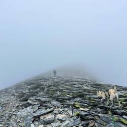 ..wir im dichten Nebel auch angewiesen sind.