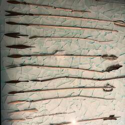 ..geschmolzenen Gletscher freigegeben haben.