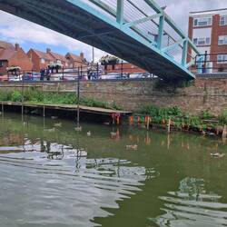 ...and collapsed jetties