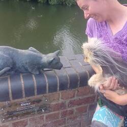 Leo wasn't too sure about this particular kitty