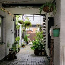 Cute alley in the town centre