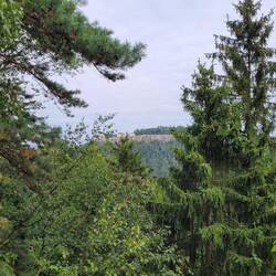 Blick auf die Festung Königstein