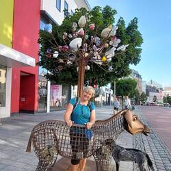 Nette aber menschenleere Innenstadt!