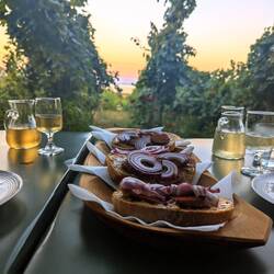 Die Kombination aus frischem Brot, Schmalz, ungarischer Salami und roten Zwiebeln war unsagbar gut!