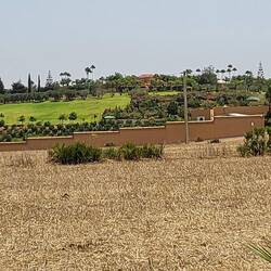 Der Palast des Scheichs: Riesig groß. Und alles grün mitten in der Wüste...