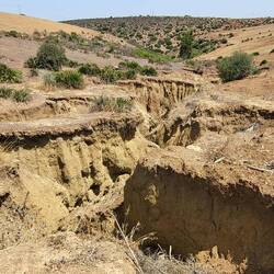 Solche Auswaschungen sieht man hier überall!