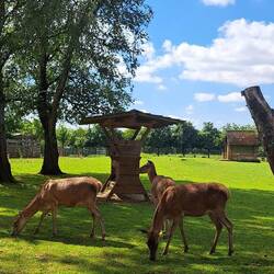 ...rüber in den Tierpark um ein letztes Mal die Tiere zu sehen...