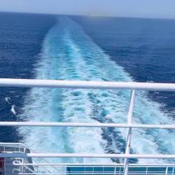 Just look at the stunning shades of blue! 🩵💙