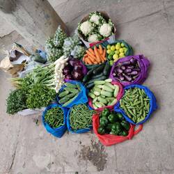 Wir müssen Bargeld loswerden. Kaufen wir dieses knackige Gemüse?