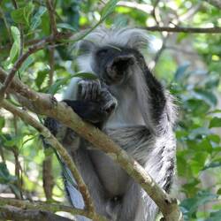 Ist noch früh am Tag