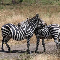 "I'll always have your back"