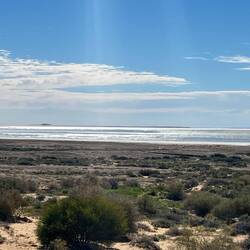 Lake Eyre from the road