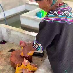 So nimmt man ein Huhn aus 🤓