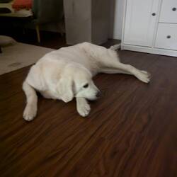 Hilde hat sich mega gefreut Améliechen wieder zu haben. Nur wollte sie das nicht auf dem Foto zeigen