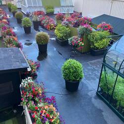 I particularly loved this rooftop garden!