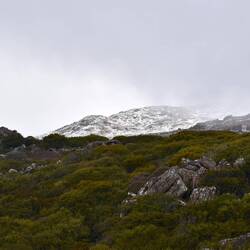 La neige à Ben Lomond National Parc