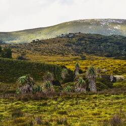 Cradle Mountain National Parc