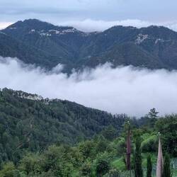 Mist over the valley