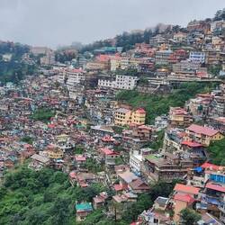 Shimla hillside