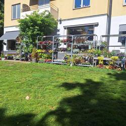 Schwedisches Blumengeschäft, anders präsentiert als bei uns