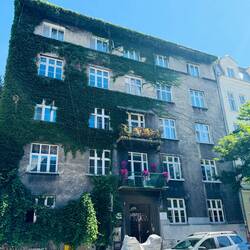 Vine crusted building near the Jewish quarter
