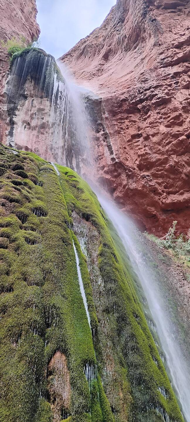 Ribbon Falls