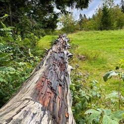 endlich Natur!