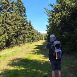 Blick zurück zum Fichtelberg!