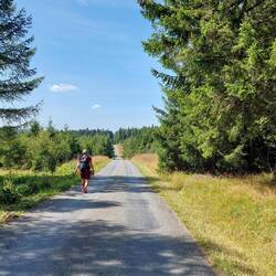Auf der Kammweg Umleitung unterwegs!