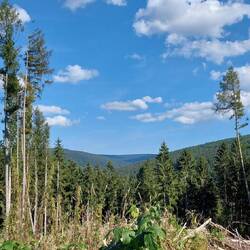Am Horizont der Fichtelberg!