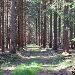 Die Umleitung scheint niemand zu gehen!🤔