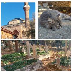 Der kleine Friedhof auf dem Gelände