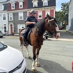 One of St. John's finest checked on how we were doing!