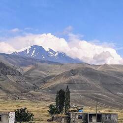 Ararat