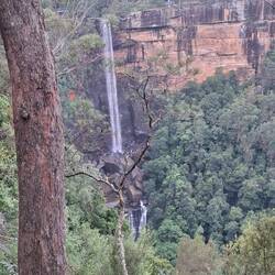 Fitzroy Falls - 81m drop