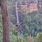 Fitzroy Falls - 81m drop