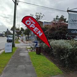 Mogo for coffee at Sweetheart and Grumpy's - highly recommend