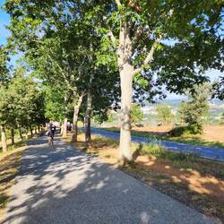 Heading into Santiago de Compostelle