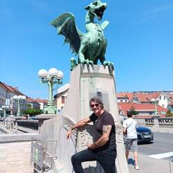 More dragons!