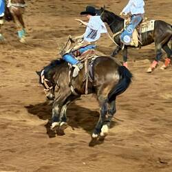 Open Saddle Bronc Wettkampf