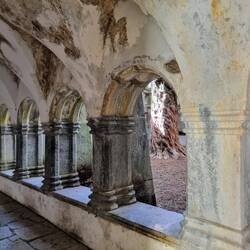 Der berühmt Yew Tree